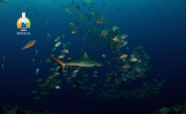 Biología y Conservación de Peces Marinos