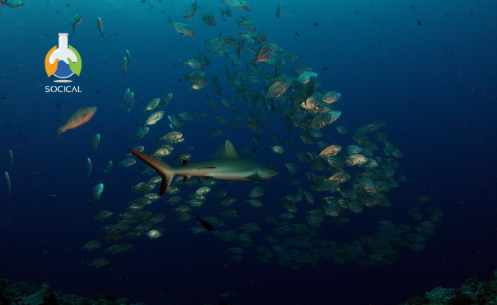 Biología y Conservación de Peces Marinos