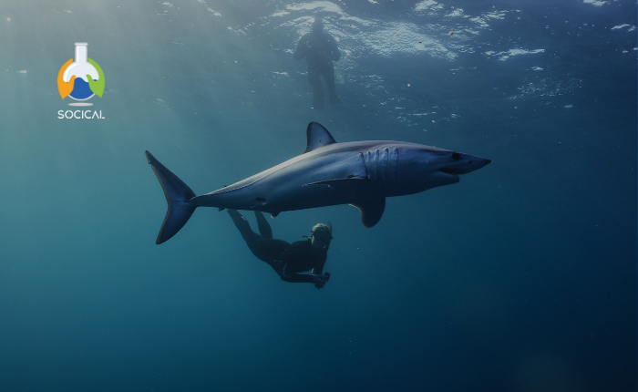 Fundamentos del Monitoreo de Peces Marinos
