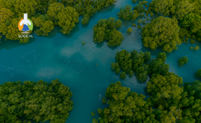 Ecosistemas de Manglar en México